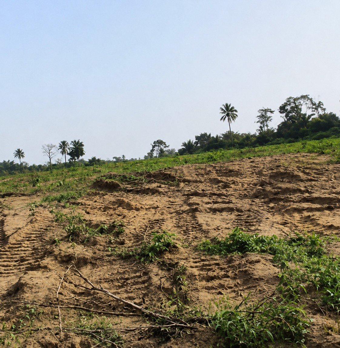 Terrain projet MOHAME
